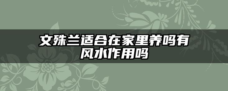 文殊兰适合在家里养吗有风水作用吗