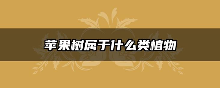 苹果树属于什么类植物