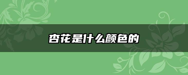 杏花是什么颜色的