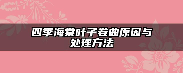 四季海棠叶子卷曲原因与处理方法