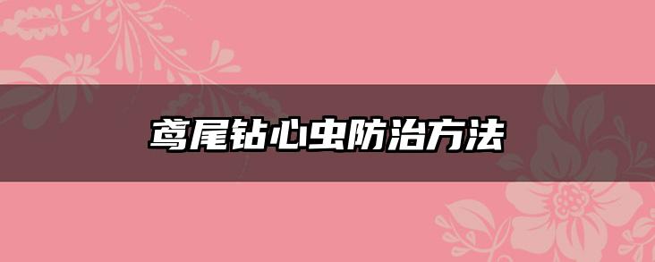 鸢尾钻心虫防治方法