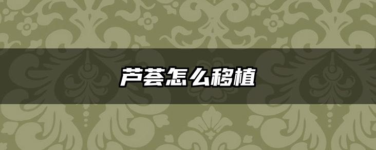 芦荟怎么移植