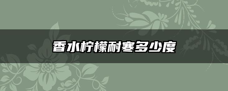 香水柠檬耐寒多少度