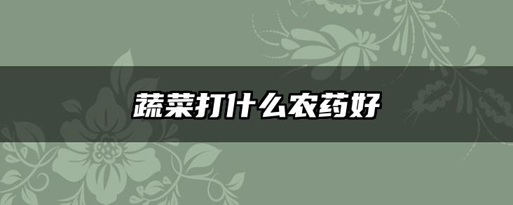 蔬菜打什么农药好