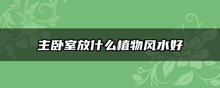 主卧室放什么植物风水好