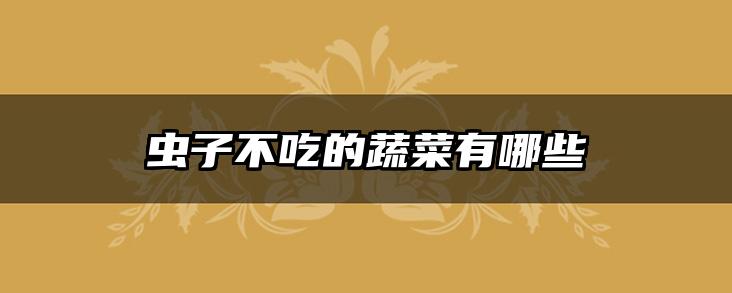 虫子不吃的蔬菜有哪些