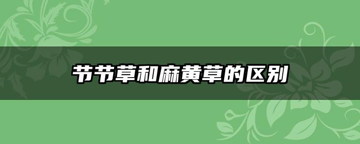 节节草和麻黄草的区别