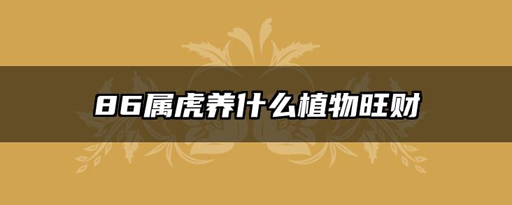 86属虎养什么植物旺财