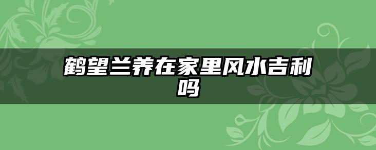 鹤望兰养在家里风水吉利吗