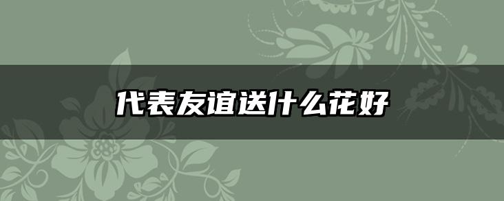 代表友谊送什么花好