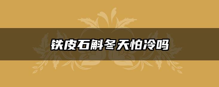 铁皮石斛冬天怕冷吗