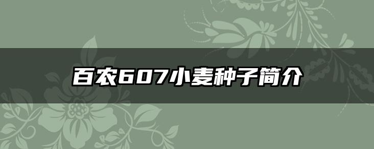百农607小麦种子简介