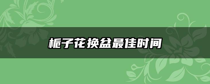 栀子花换盆最佳时间