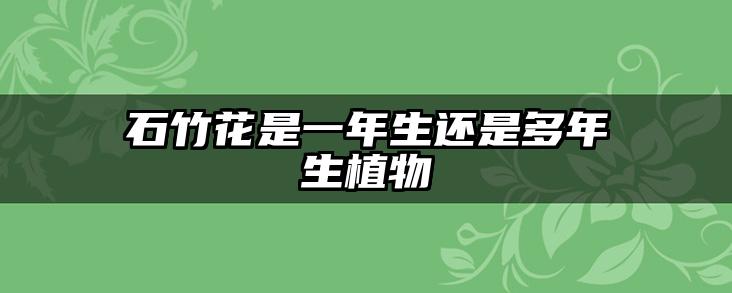 石竹花是一年生还是多年生植物