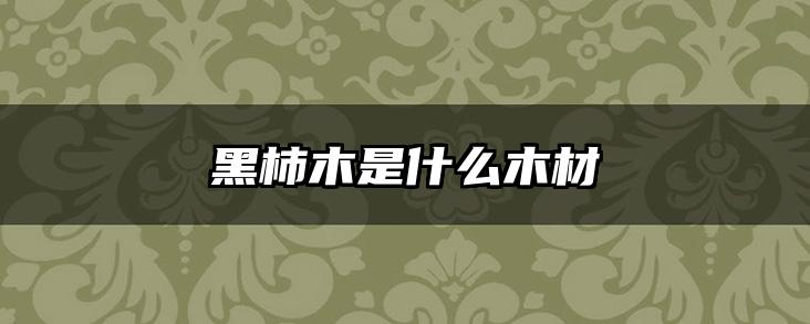 黑柿木是什么木材
