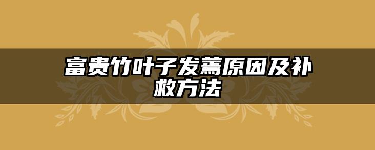 富贵竹叶子发蔫原因及补救方法