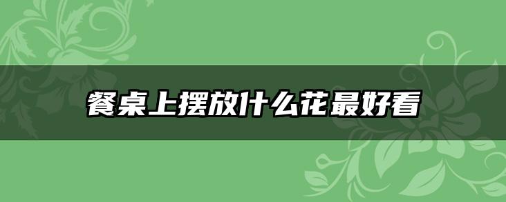 餐桌上摆放什么花最好看