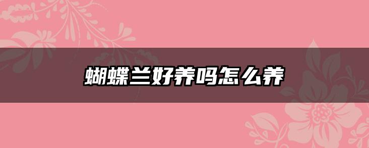蝴蝶兰好养吗怎么养