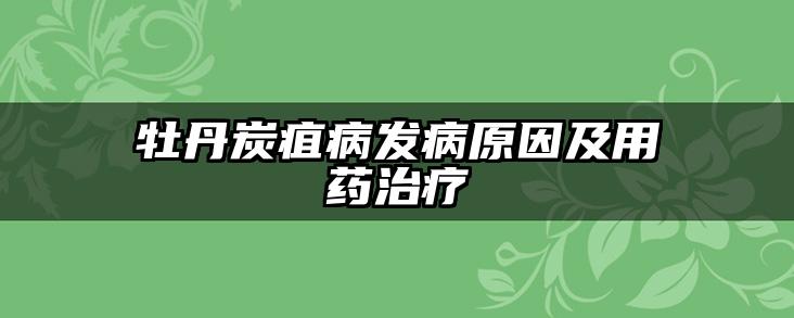 牡丹炭疽病发病原因及用药治疗