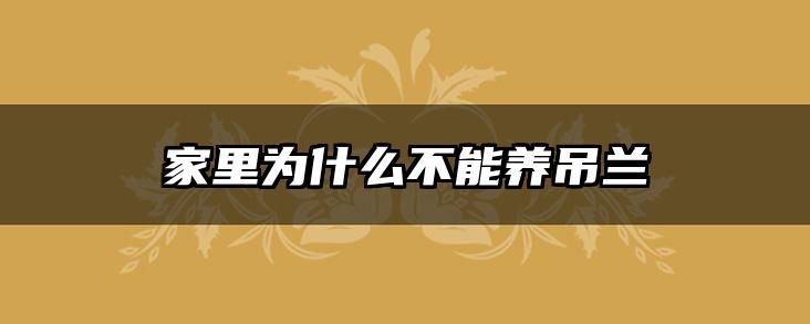 家里为什么不能养吊兰