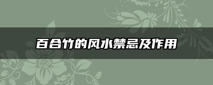 百合竹的风水禁忌及作用