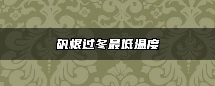 矾根过冬最低温度