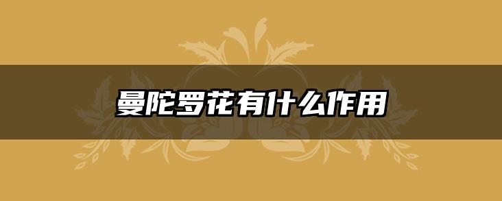曼陀罗花有什么作用