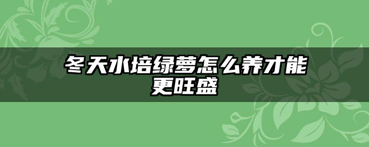 冬天水培绿萝怎么养才能更旺盛