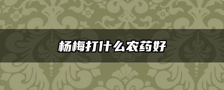 杨梅打什么农药好