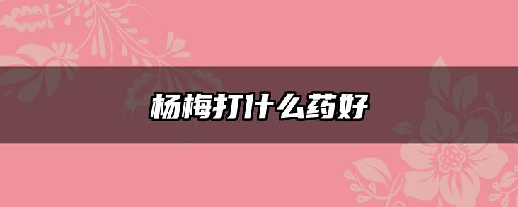 杨梅打什么药好