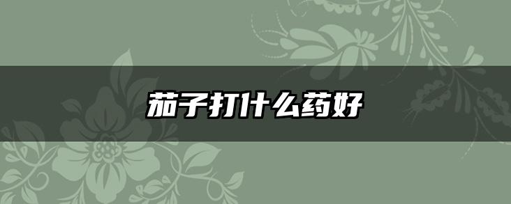 茄子打什么药好