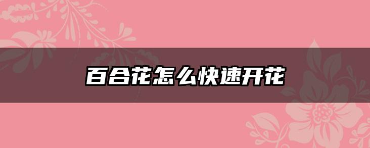 百合花怎么快速开花