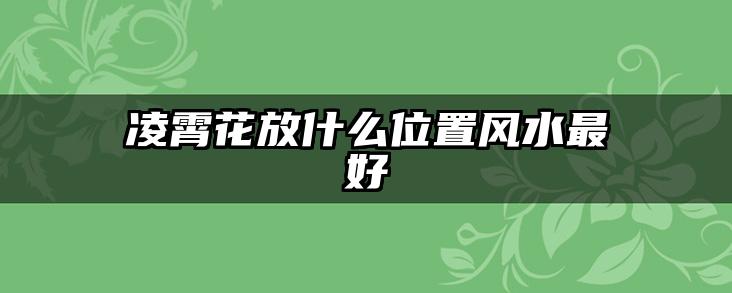 凌霄花放什么位置风水最好