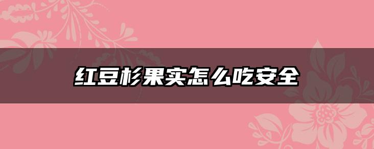 红豆杉果实怎么吃安全