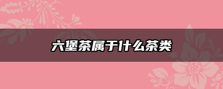六堡茶属于什么茶类