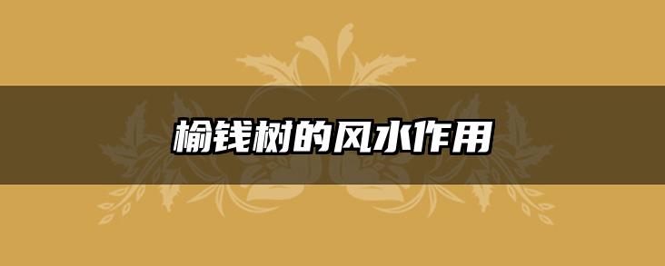 榆钱树的风水作用