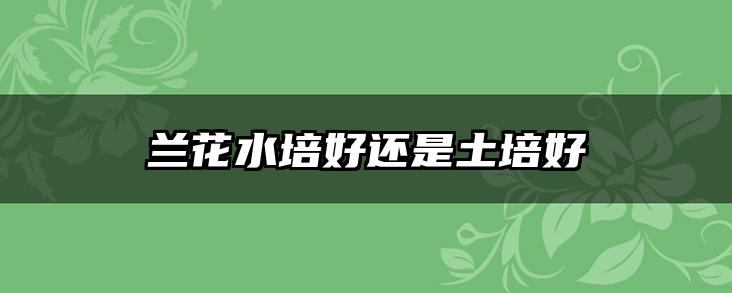 兰花水培好还是土培好