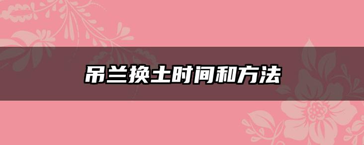 吊兰换土时间和方法