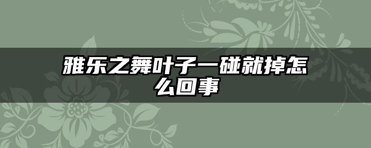 雅乐之舞叶子一碰就掉怎么回事