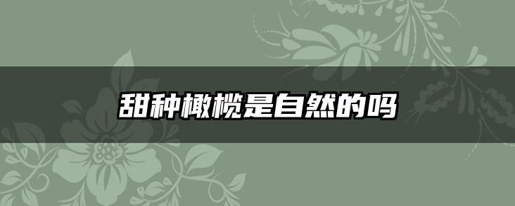甜种橄榄是自然的吗