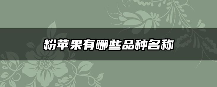 粉苹果有哪些品种名称
