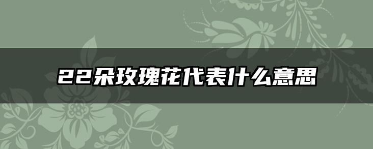 22朵玫瑰花代表什么意思