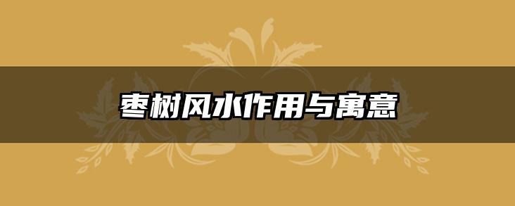 枣树风水作用与寓意