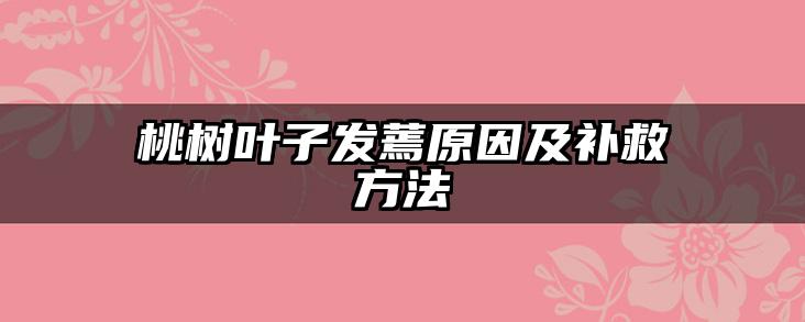 桃树叶子发蔫原因及补救方法