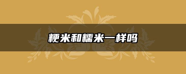 粳米和糯米一样吗