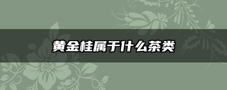 黄金桂属于什么茶类