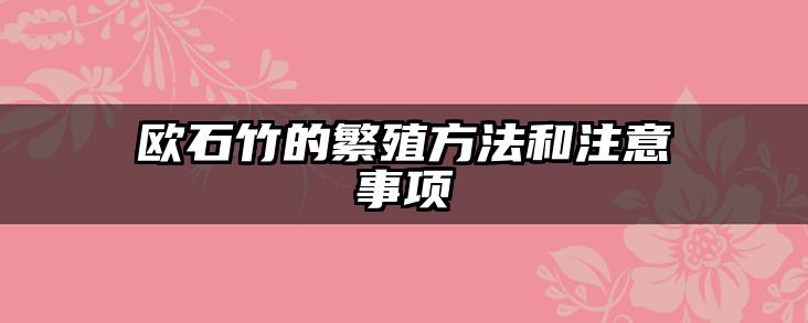 欧石竹的繁殖方法和注意事项
