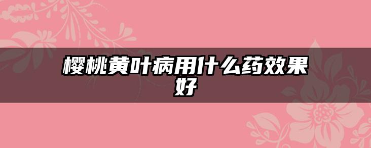 樱桃黄叶病用什么药效果好