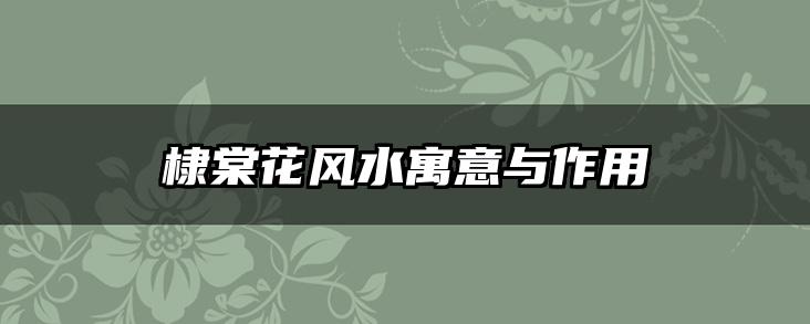 棣棠花风水寓意与作用