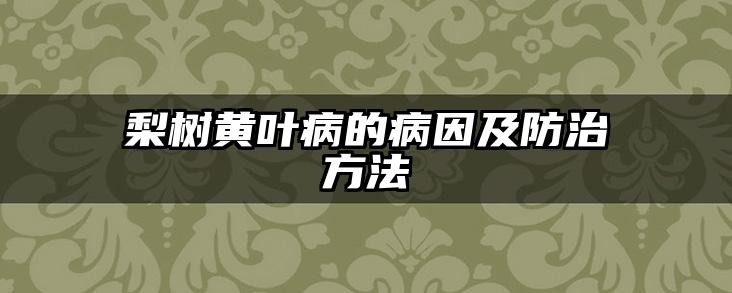 梨树黄叶病的病因及防治方法